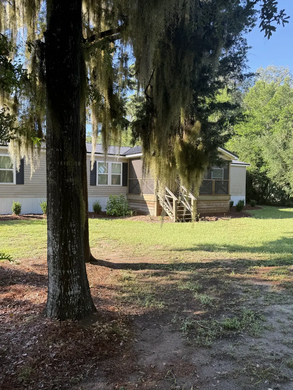 Side yard view of Sapelo House with live oak trees, Spanish moss, and a sunny lawn.